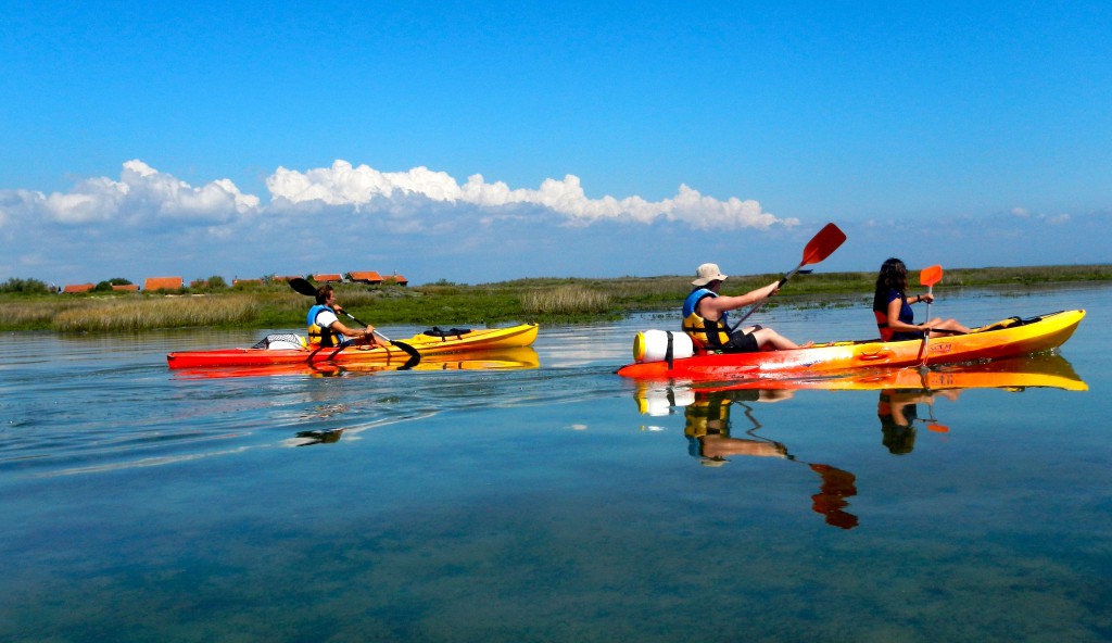 canoe kayak bassin d'arcachon Glisse en Herbe CapFerret