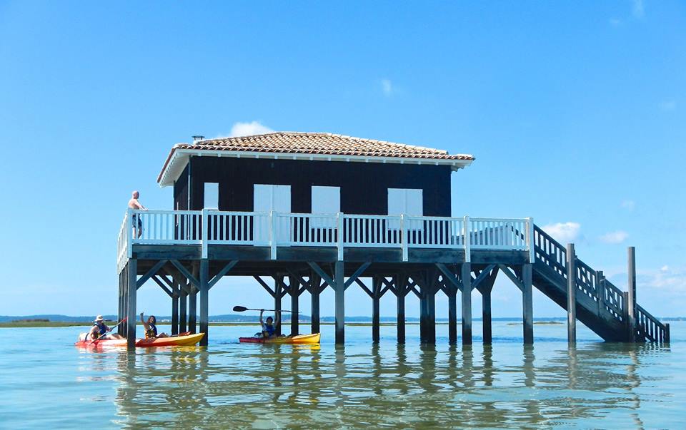 Canoë Kayak sur le Bassin d'Arcachon et Cap-Ferret